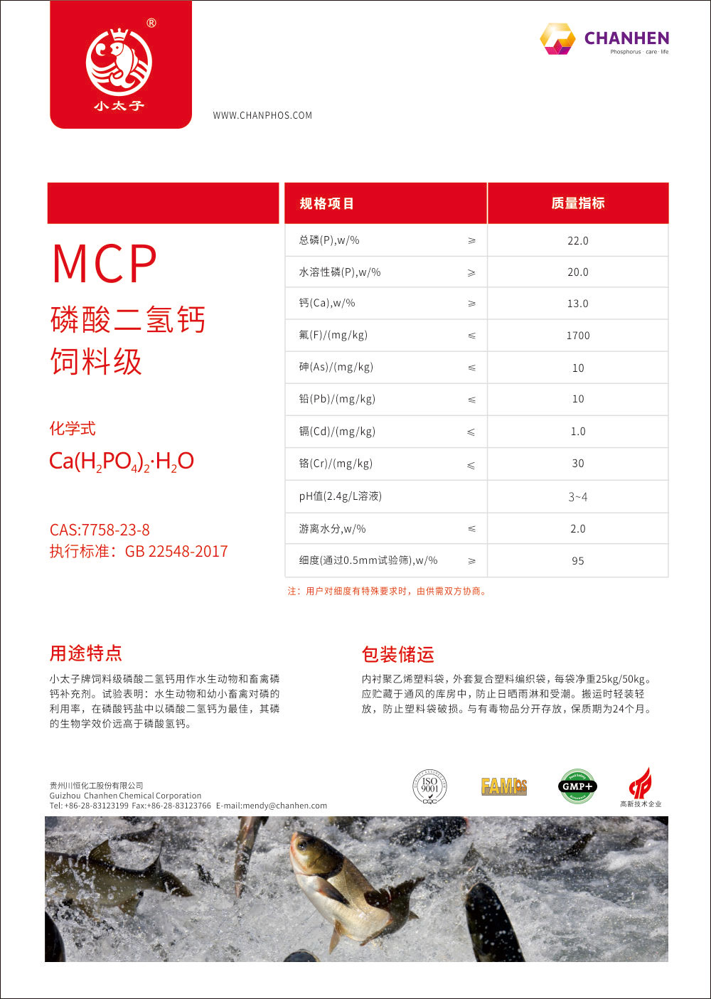 DM單-MCP全中文版20190718